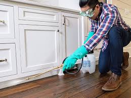 Best Pest Exclusion Services  in Bedminster, NJ